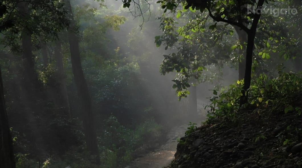 BEST TIME TO VISIT JIM CORBETT