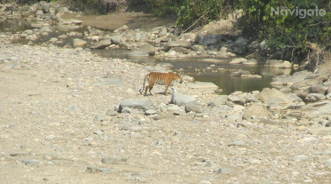 Jim Corbett National Park