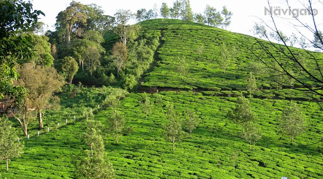 Summer Destinations in India