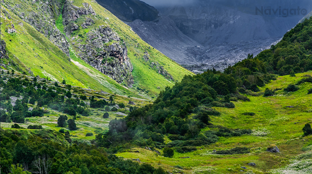 Valley of Flowers