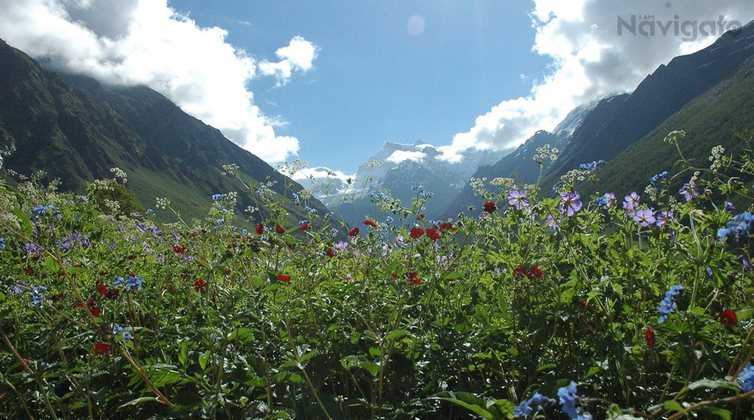 the-Valley-of-Flowers