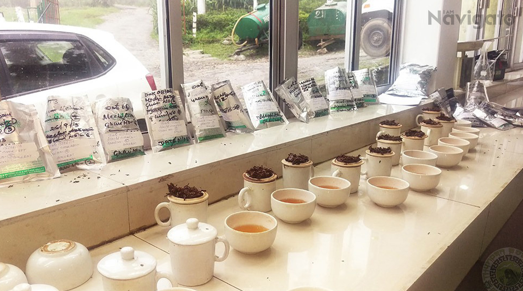 Tea Tasting in Darjeeling