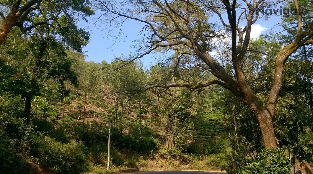 Chikmagalur in Summer