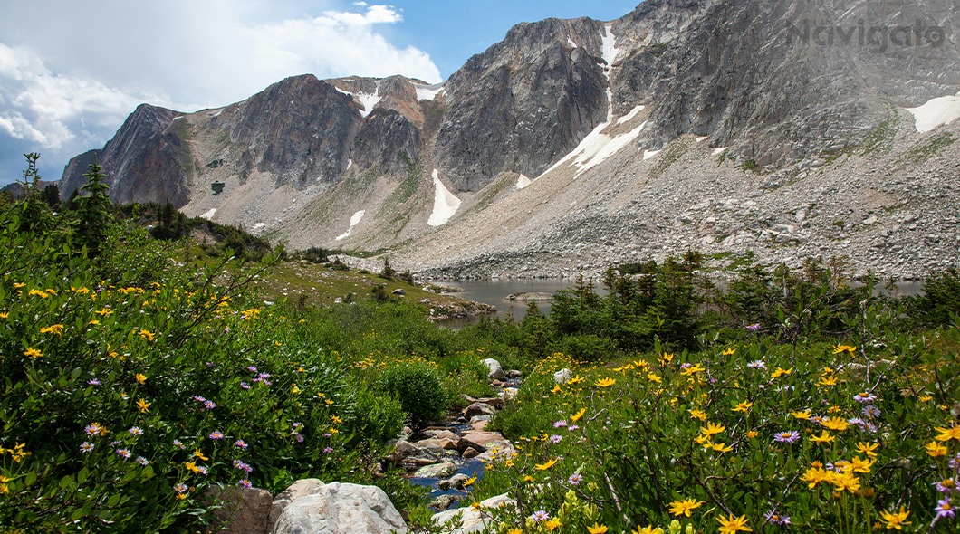 Valley of Flowers