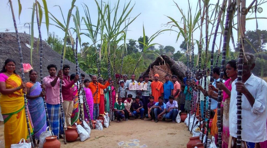 Pongal