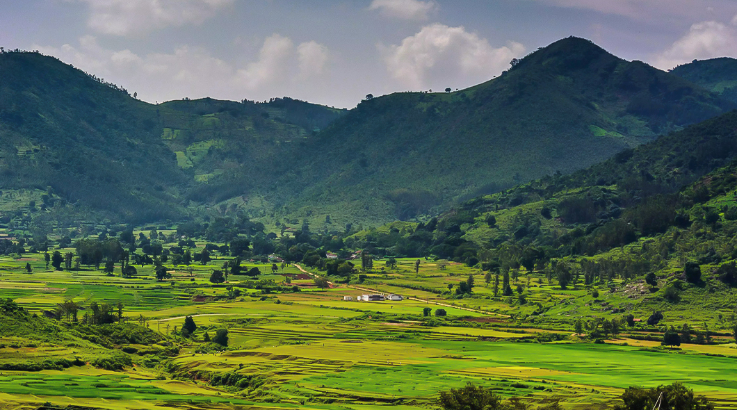 Lambasingi Hills, Andhra Pradesh