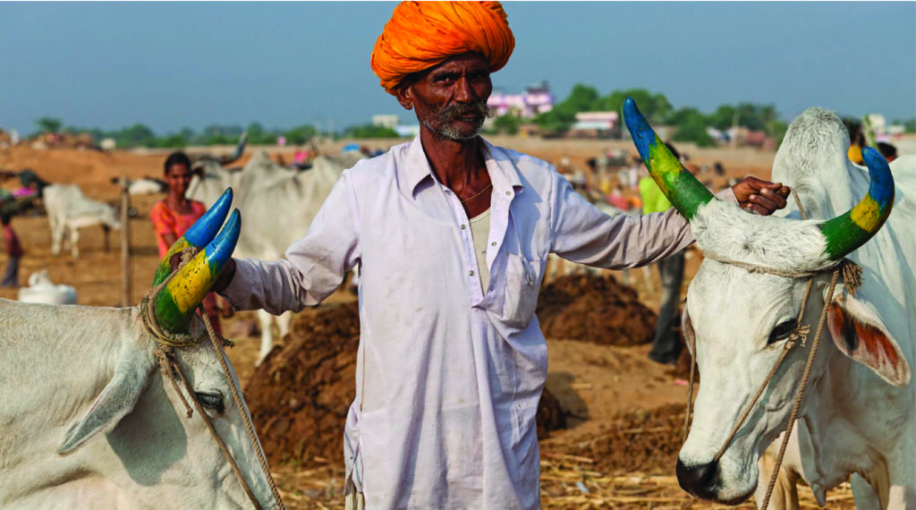 Nagaur Cattle Fair