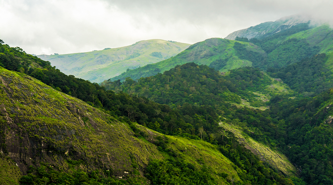 Nelliampathy Hills, Kerala