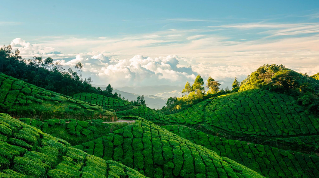 Wayanad, Kerala