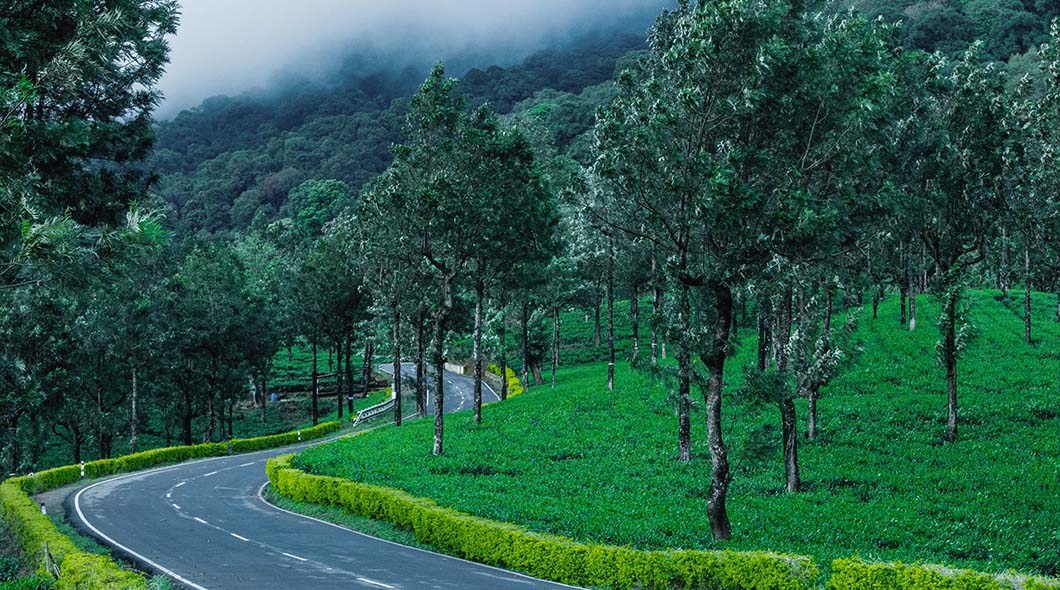 Coorg, Karnataka 