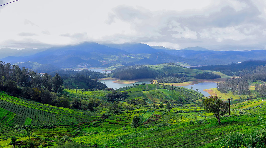 Ooty & Coonoor, Tamil Nadu