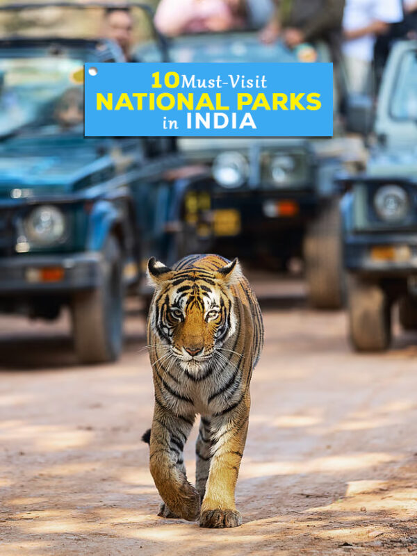 National Parks in India