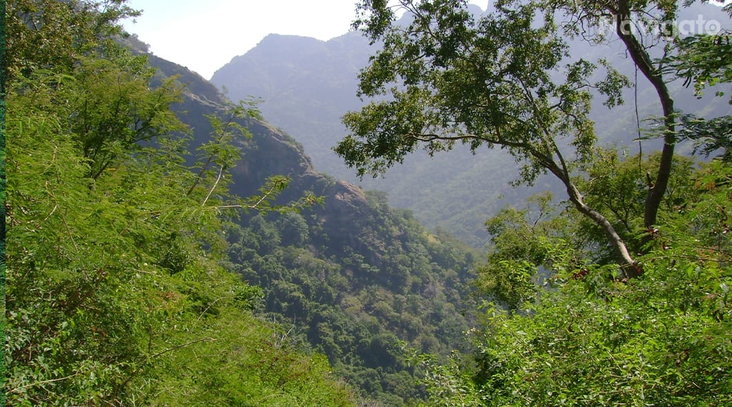 kolli hills